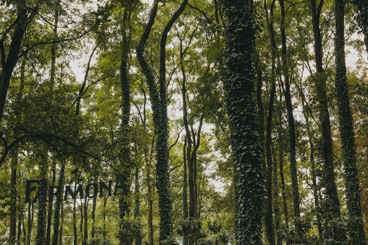 fotograf ślubny Kraków