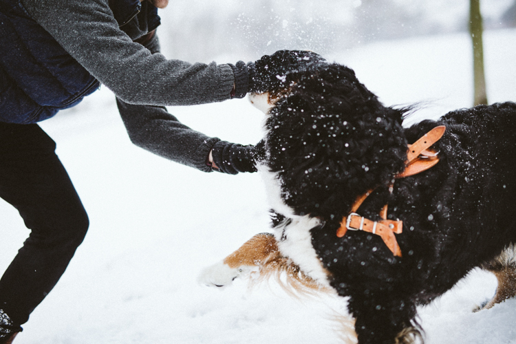 sesja randkowa Krakow