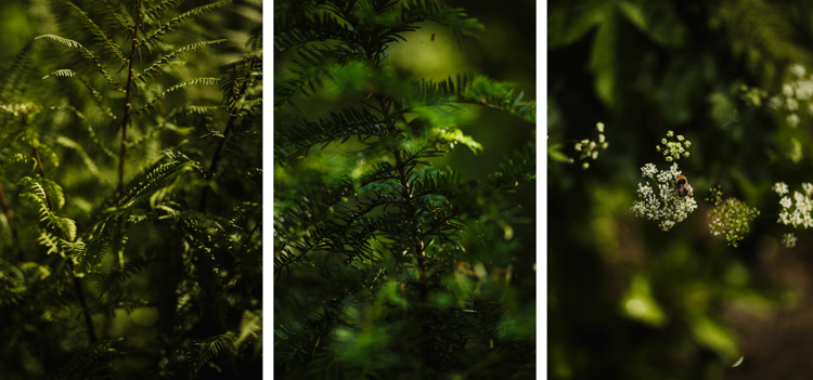 plener ślubny w willi Tadeusz