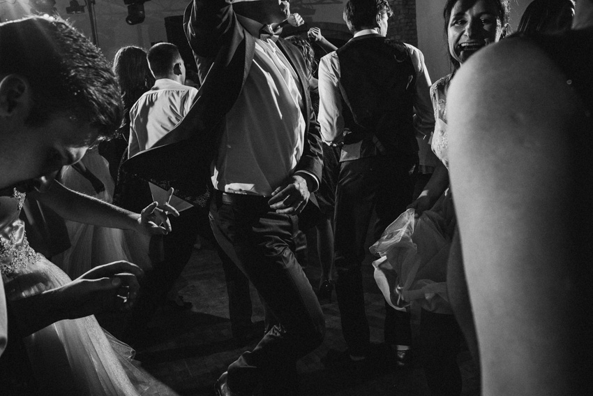 wezele na polu golfowym