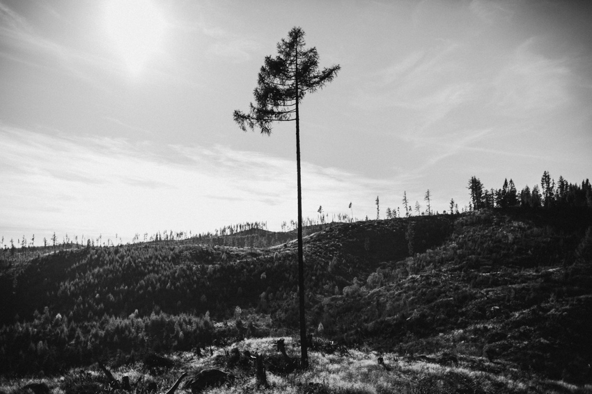 plener Tatry Słowackie
