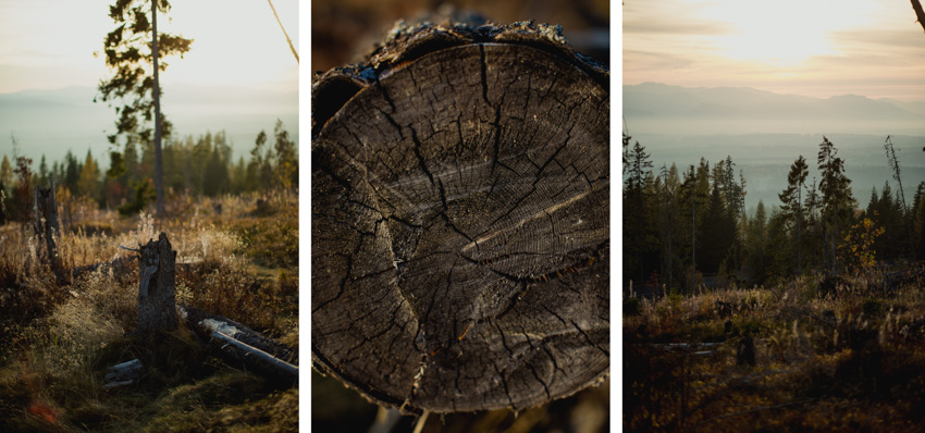 plener ślubny w górach