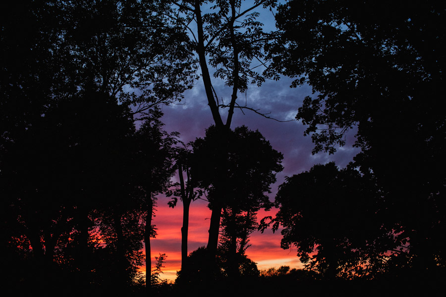 naturalne zdjęcia ślubne