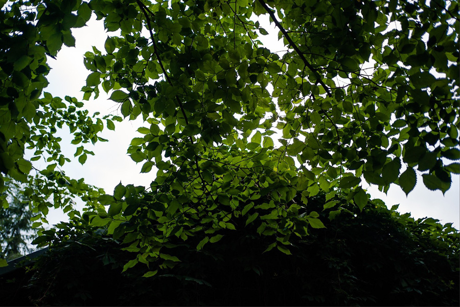 ślub w Winiarni nad jeziorem