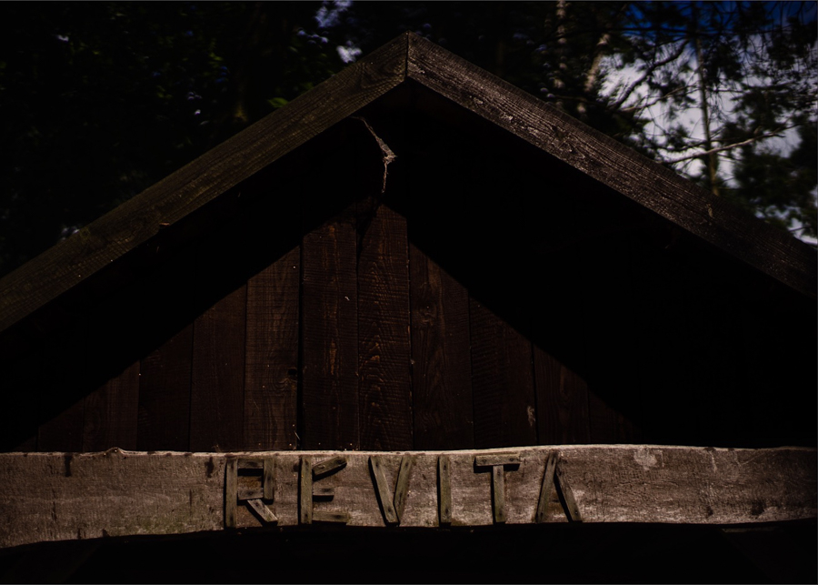 Zdjęcia ślubne Warszawa