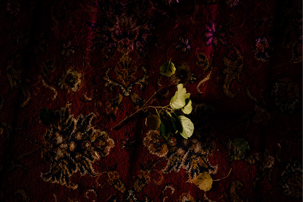 zdjęcia ślubne kraków